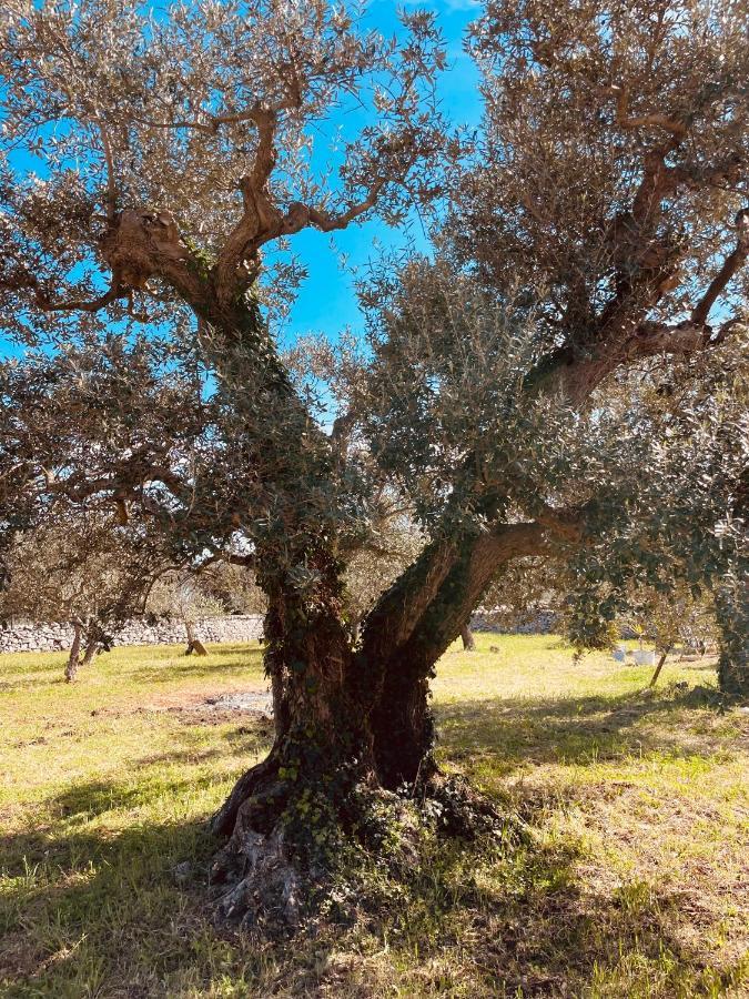 Trulli Mancinella Villa โลโกโรตอนโด ภายนอก รูปภาพ