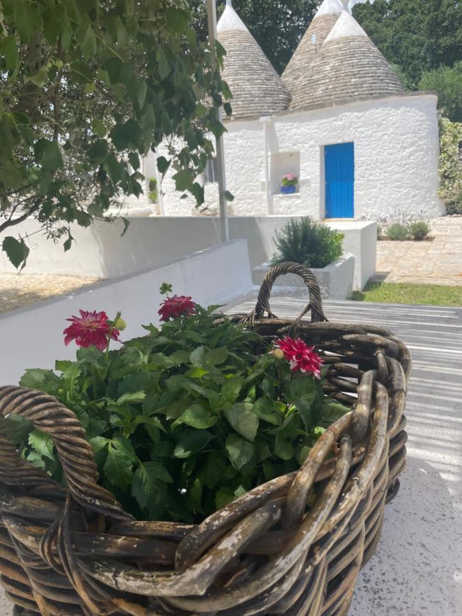 Trulli Mancinella Villa โลโกโรตอนโด ภายนอก รูปภาพ